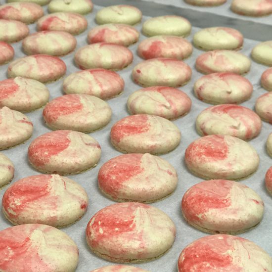 Pink and White Macaron Shells