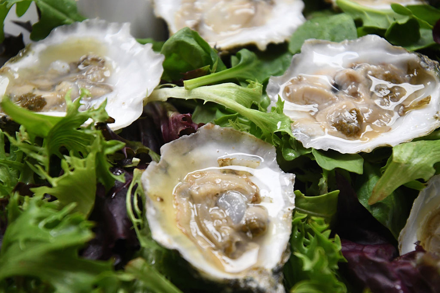 Gallery Pastry Bar Oysters